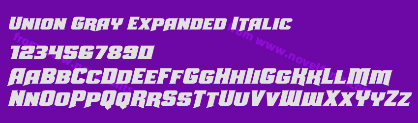 Union Gray Expanded ItalicPreview Union Gray Expanded ItalicPreview