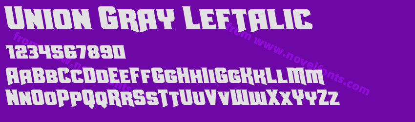 Union Gray LeftalicPreview Union Gray LeftalicPreview