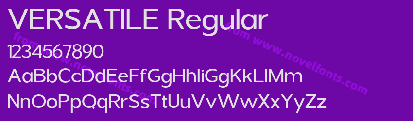VERSATILE RegularPreview VERSATILE RegularPreview