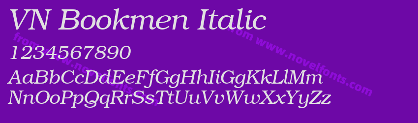 VN Bookmen ItalicPreview VN Bookmen ItalicPreview