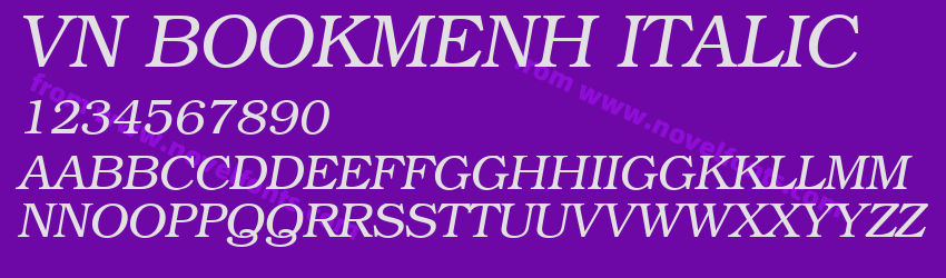VN BookmenH ItalicPreview VN BookmenH ItalicPreview