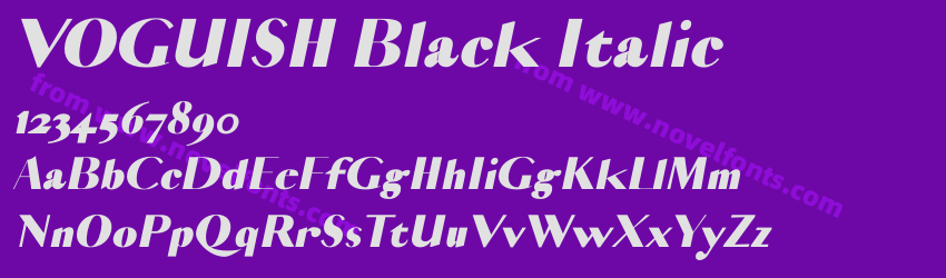 VOGUISH Black ItalicPreview VOGUISH Black ItalicPreview