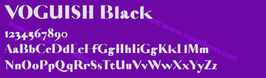 VOGUISH BlackPreview VOGUISH BlackPreview