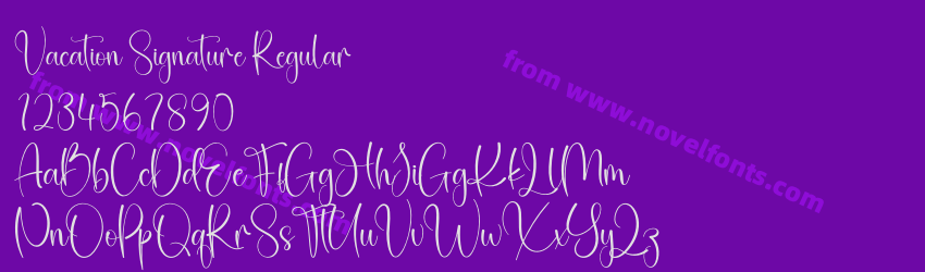 Vacation Signature RegularPreview Vacation Signature RegularPreview
