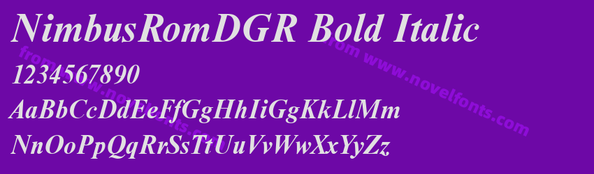 NimbusRomDGR Bold ItalicPreview