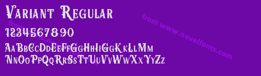 Variant RegularPreview Variant RegularPreview