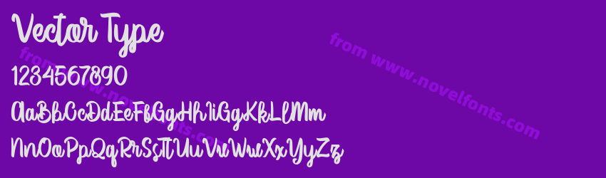 Vector TypePreview Vector TypePreview