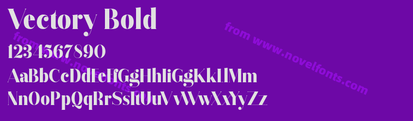 Vectory BoldPreview Vectory BoldPreview