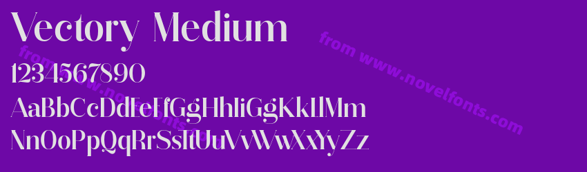 Vectory MediumPreview Vectory MediumPreview