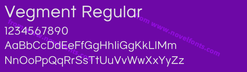 Vegment RegularPreview Vegment RegularPreview