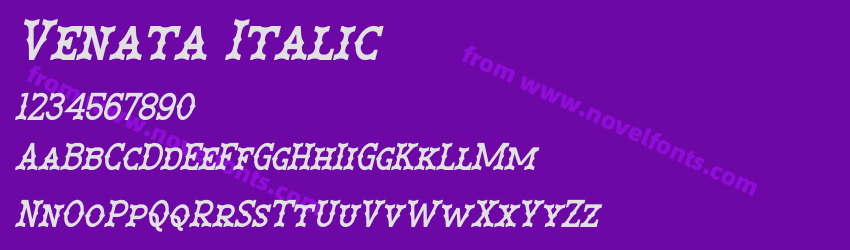 Venata ItalicPreview Venata ItalicPreview