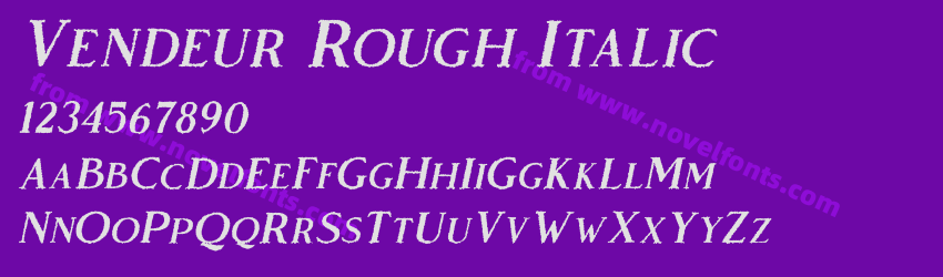 Vendeur Rough ItalicPreview Vendeur Rough ItalicPreview