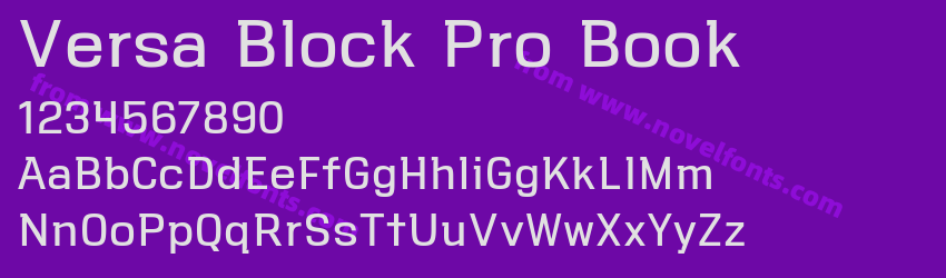 Versa Block Pro BookPreview Versa Block Pro BookPreview