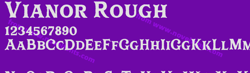 Vianor RoughPreview Vianor RoughPreview