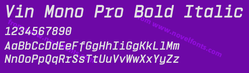 Vin Mono Pro Bold ItalicPreview Vin Mono Pro Bold ItalicPreview