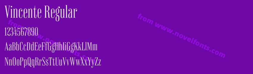 Vincente RegularPreview Vincente RegularPreview