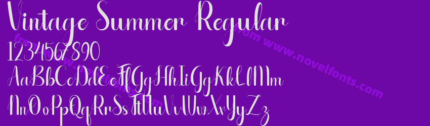 Vintage Summer RegularPreview