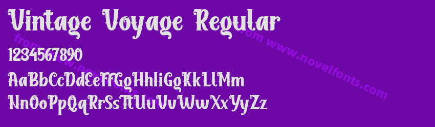 Vintage Voyage RegularPreview Vintage Voyage RegularPreview