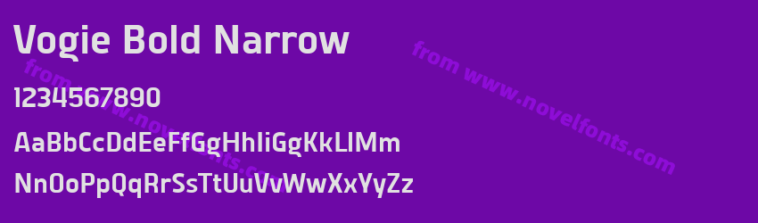 Vogie Bold NarrowPreview Vogie Bold NarrowPreview