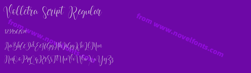 Volletra Script RegularPreview Volletra Script RegularPreview
