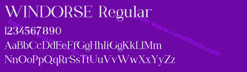 WINDORSE RegularPreview WINDORSE RegularPreview