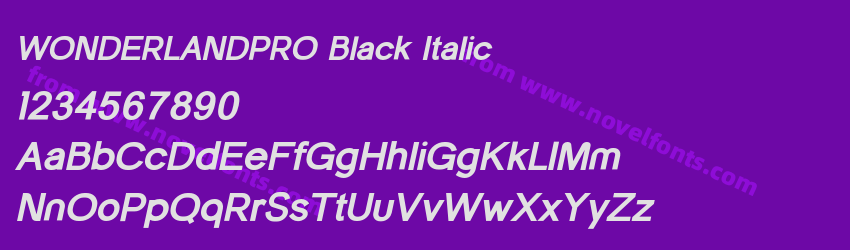 WONDERLANDPRO Black ItalicPreview WONDERLANDPRO Black ItalicPreview