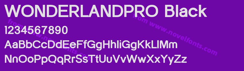 WONDERLANDPRO BlackPreview WONDERLANDPRO BlackPreview