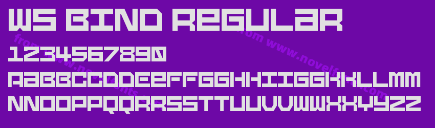 WS Bind RegularPreview WS Bind RegularPreview