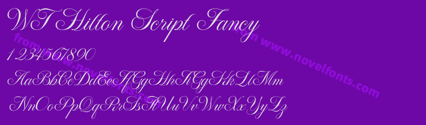WT Hilton Script FancyPreview WT Hilton Script FancyPreview