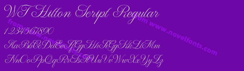 WT Hilton Script RegularPreview WT Hilton Script RegularPreview