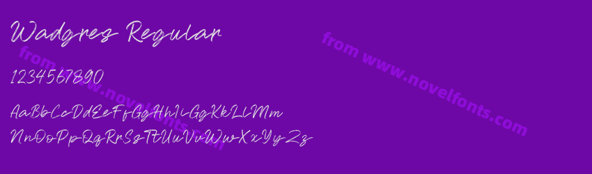 Wadgres RegularPreview Wadgres RegularPreview