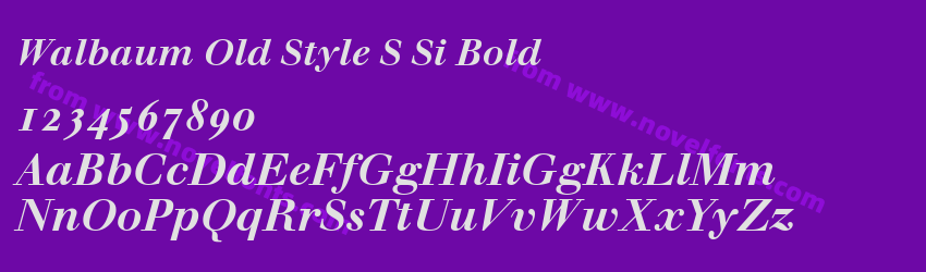 Walbaum Old Style S Si BoldPreview Walbaum Old Style S Si BoldPreview