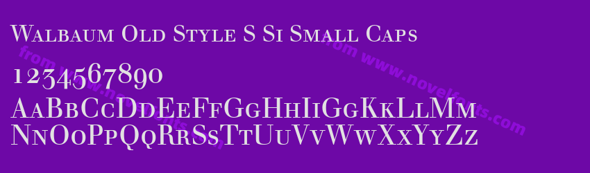 Walbaum Old Style S Si Small CapsPreview Walbaum Old Style S Si Small CapsPreview