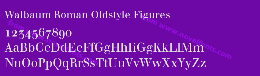 Walbaum Roman Oldstyle FiguresPreview Walbaum Roman Oldstyle FiguresPreview