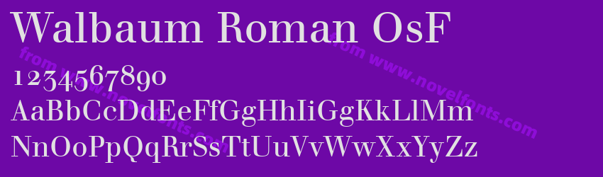 Walbaum Roman OsFPreview Walbaum Roman OsFPreview