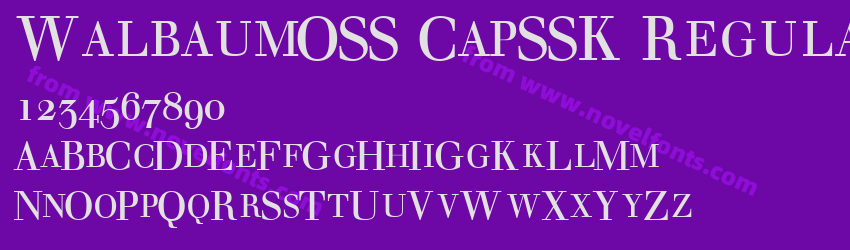 WalbaumOSS CapSSK RegularPreview WalbaumOSS CapSSK RegularPreview