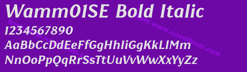 Wamm01SE Bold ItalicPreview Wamm01SE Bold ItalicPreview