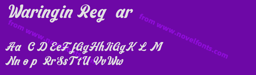 Waringin RegularPreview Waringin RegularPreview