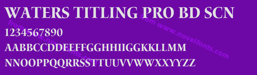 Waters Titling Pro Bd ScnPreview Waters Titling Pro Bd ScnPreview