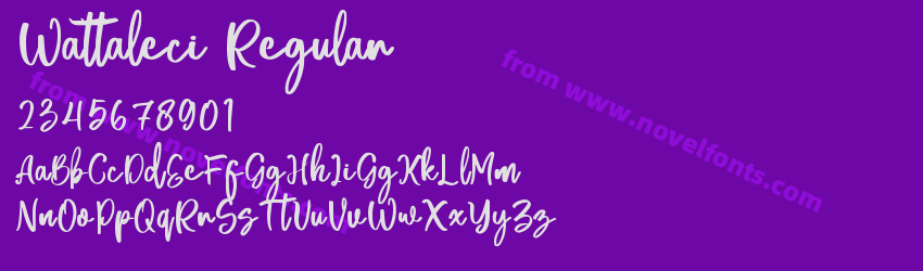 Wattaleci RegularPreview Wattaleci RegularPreview