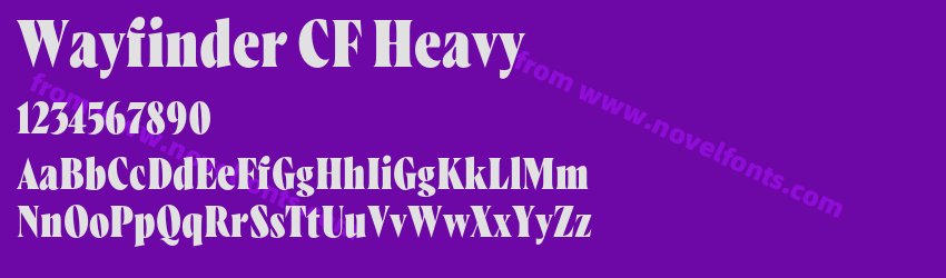 Wayfinder CF HeavyPreview Wayfinder CF HeavyPreview