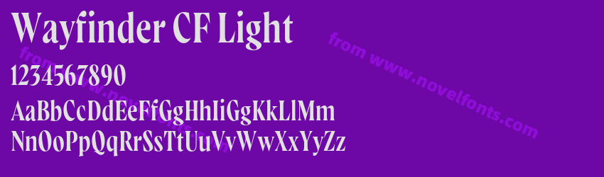 Wayfinder CF LightPreview Wayfinder CF LightPreview