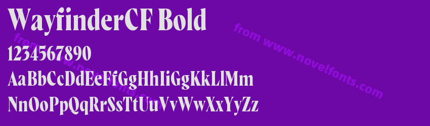 WayfinderCF BoldPreview WayfinderCF BoldPreview