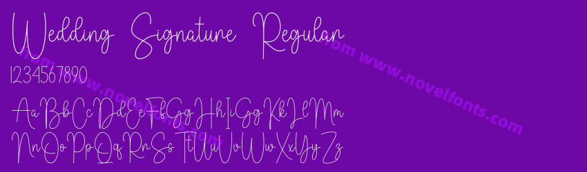 Wedding Signature RegularPreview Wedding Signature RegularPreview
