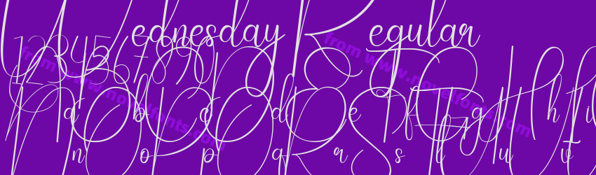 Wednesday RegularPreview Wednesday RegularPreview