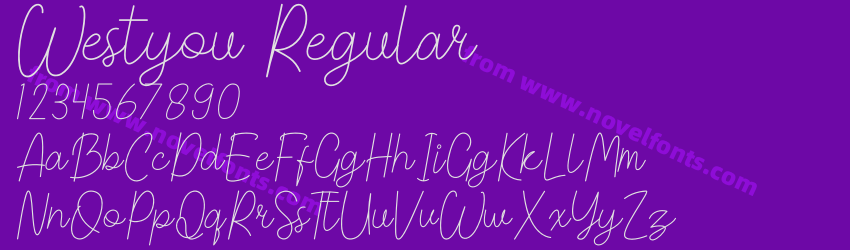 Westyou RegularPreview Westyou RegularPreview