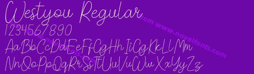 Westyou RegularPreview