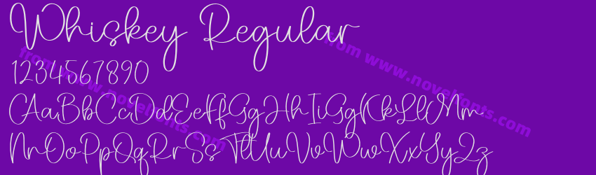Whiskey RegularPreview Whiskey RegularPreview