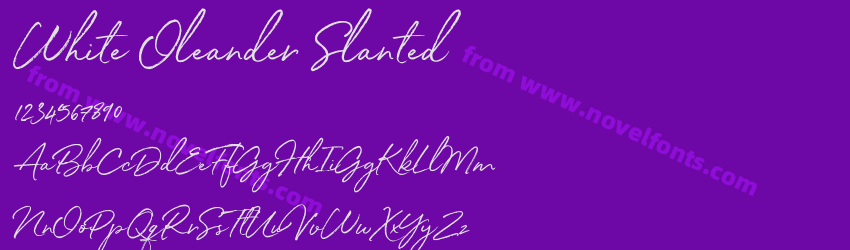 White Oleander SlantedPreview White Oleander SlantedPreview