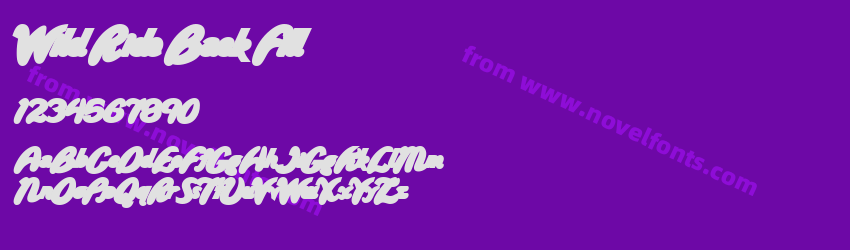 Wild Ride Back FillPreview Wild Ride Back FillPreview